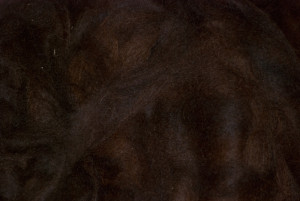 Close up of the 1.3 lbs of chocolate alpaca